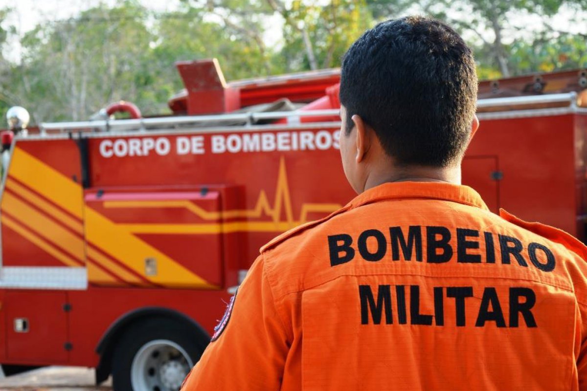 Bombeiros realizam resgate de cachorros perdidos em Itamaraju