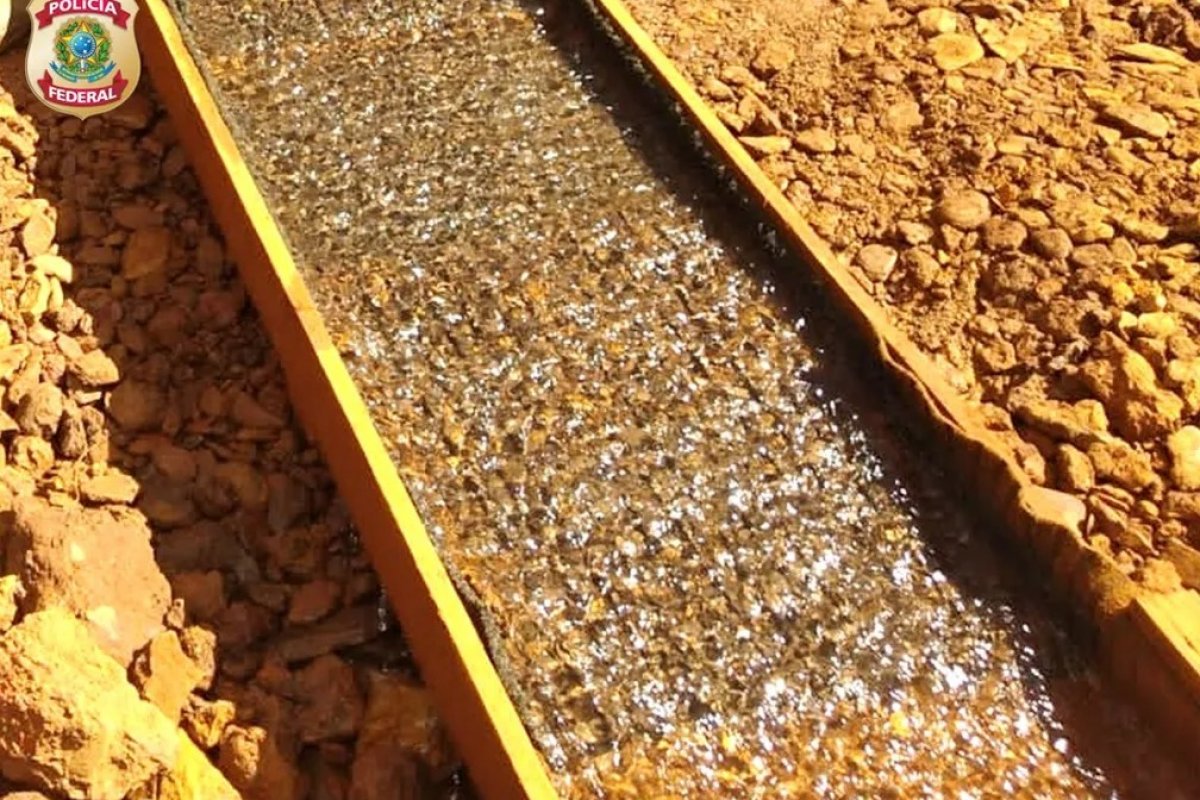 Polícia Federal apreende R$ 63 milhões em ouro ilegal em 10 anos no Brasil