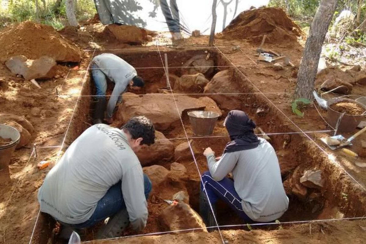 Pesquisadores brasileiros dominam técnica para extrair e sequenciar DNA antigo