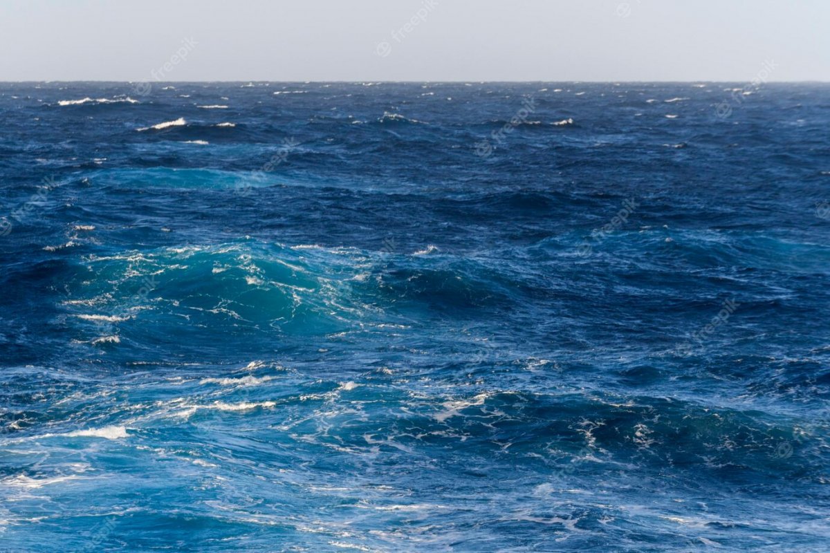 Temperatura recorde do oceano preocupa especialistas e evidencia impactos das mudanças climáticas