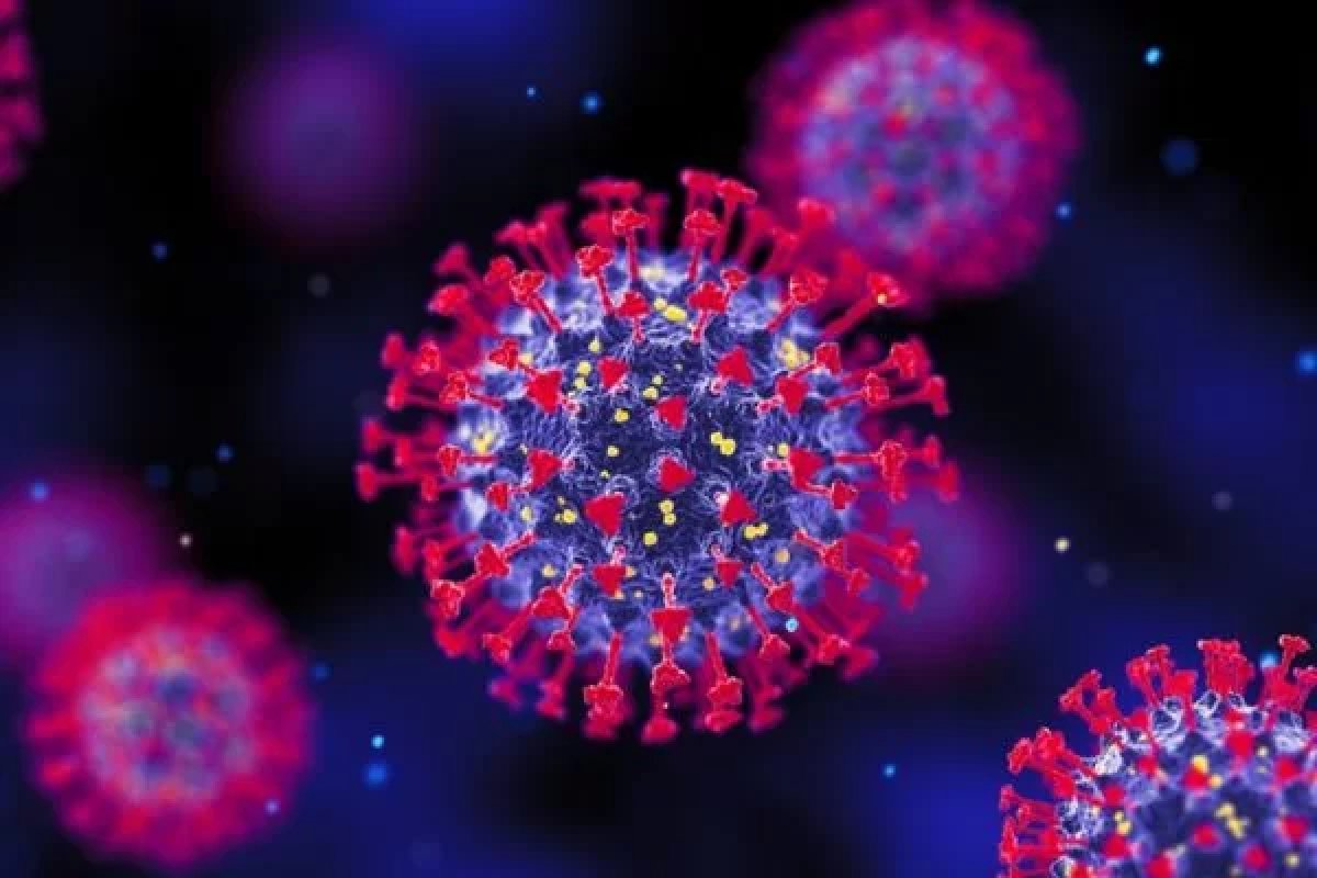 Brasil registra alta de Covid após chegada da sub-variante Éris