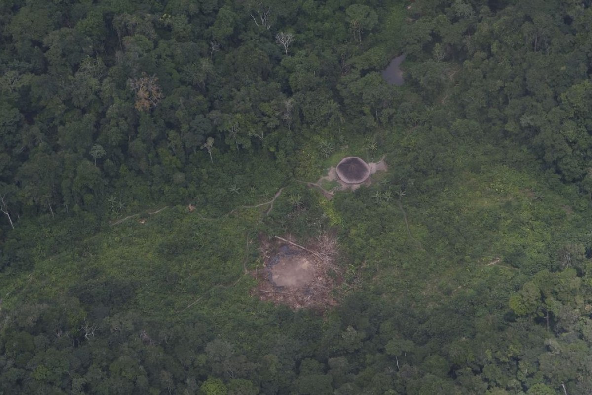 Terras indígenas concentram 19% de toda a vegetação nativa do país, aponta MapBiomas
