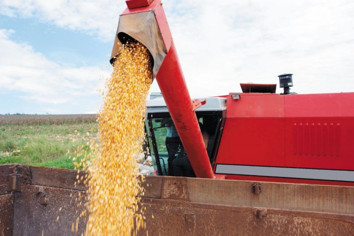 Brasil ultrapassa EUA e se torna maior exportador de milho do mundo