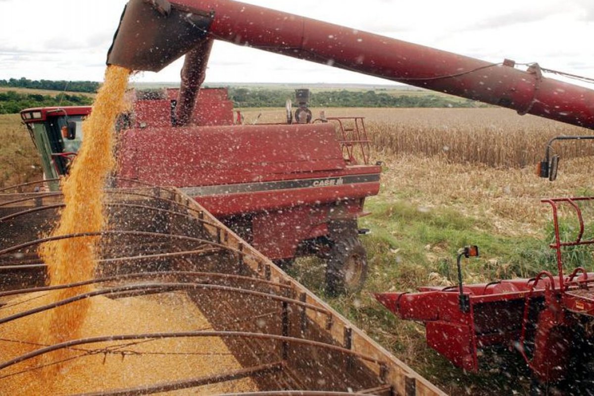 Agropecuária perde ritmo e encolhe 0,9% no segundo trimestre