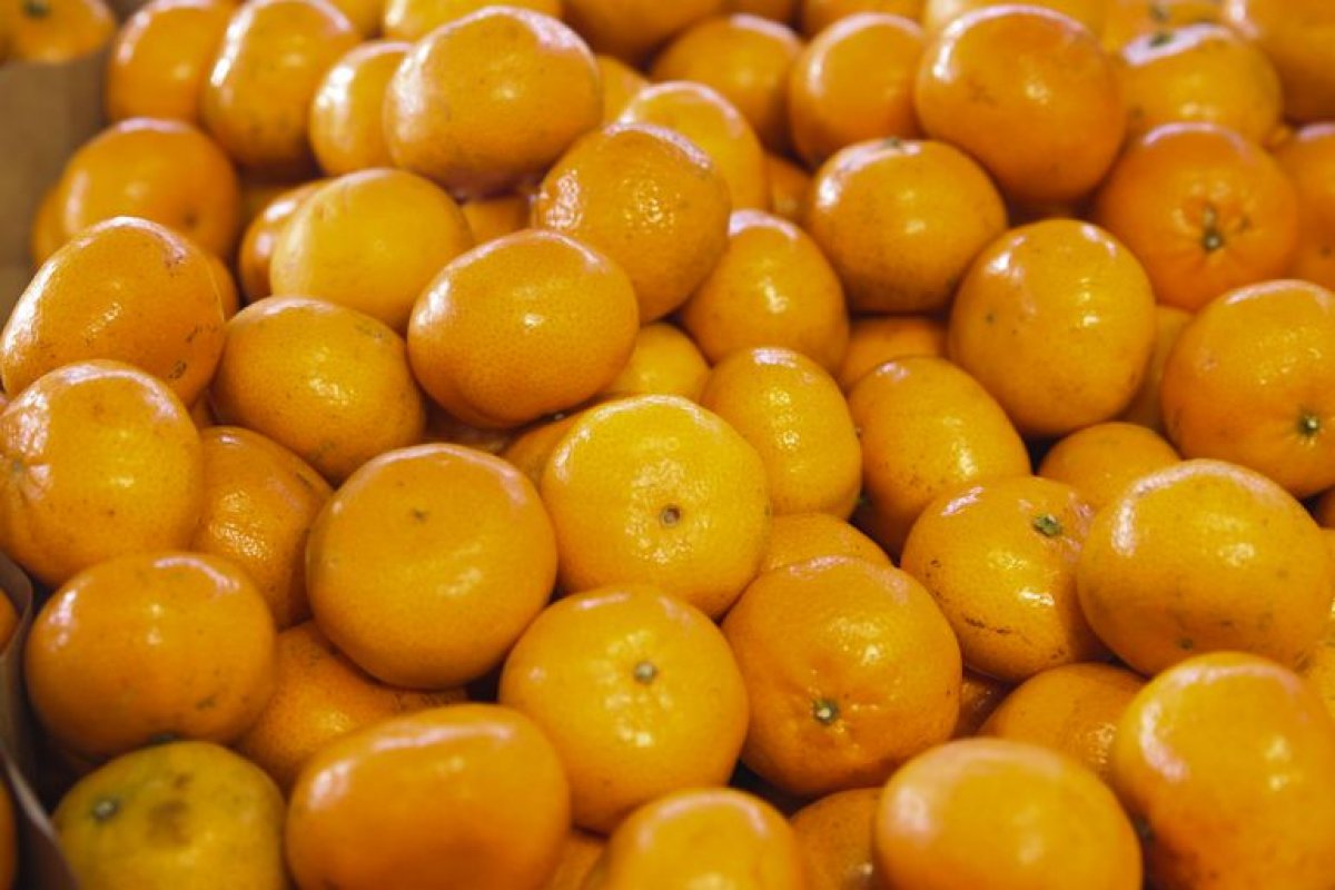 Conheça os benefícios da tangerina, fruta rica em vitamina C