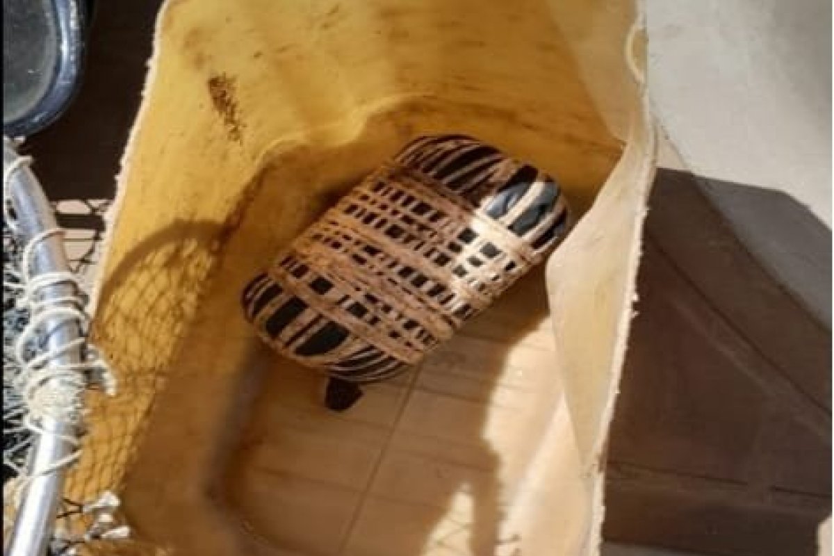 Artefatos explosivos são apreendidos durante operação marítima