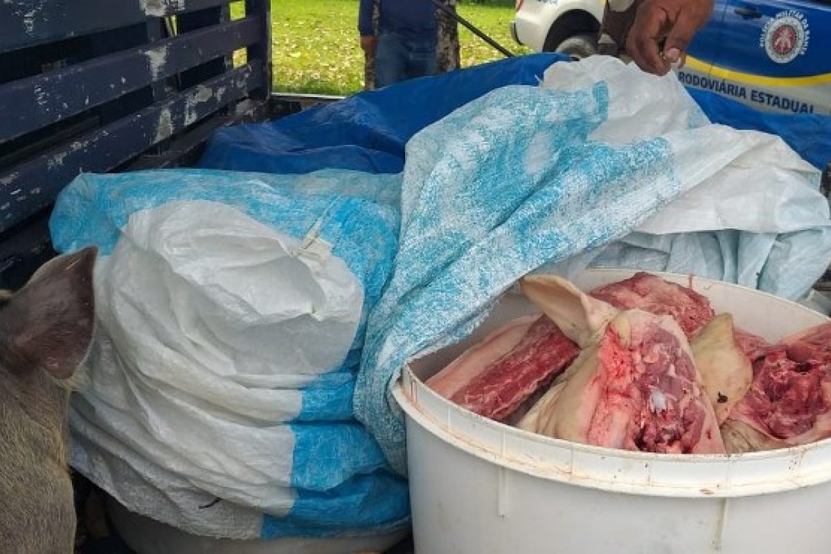PRE apreende caminhão com carga de carne clandestina no sul da Bahia