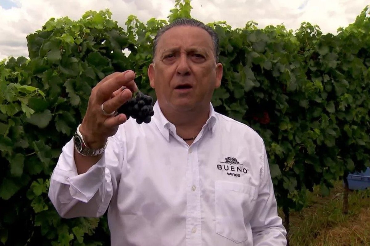 Vinícola de Galvão Bueno deve R$ 2,6 milhões à União