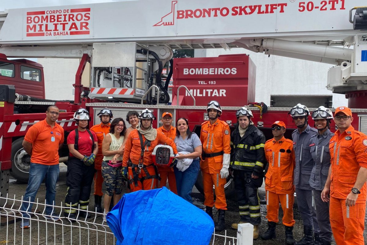 Vídeo: gato é resgatado por bombeiros de copa de árvore