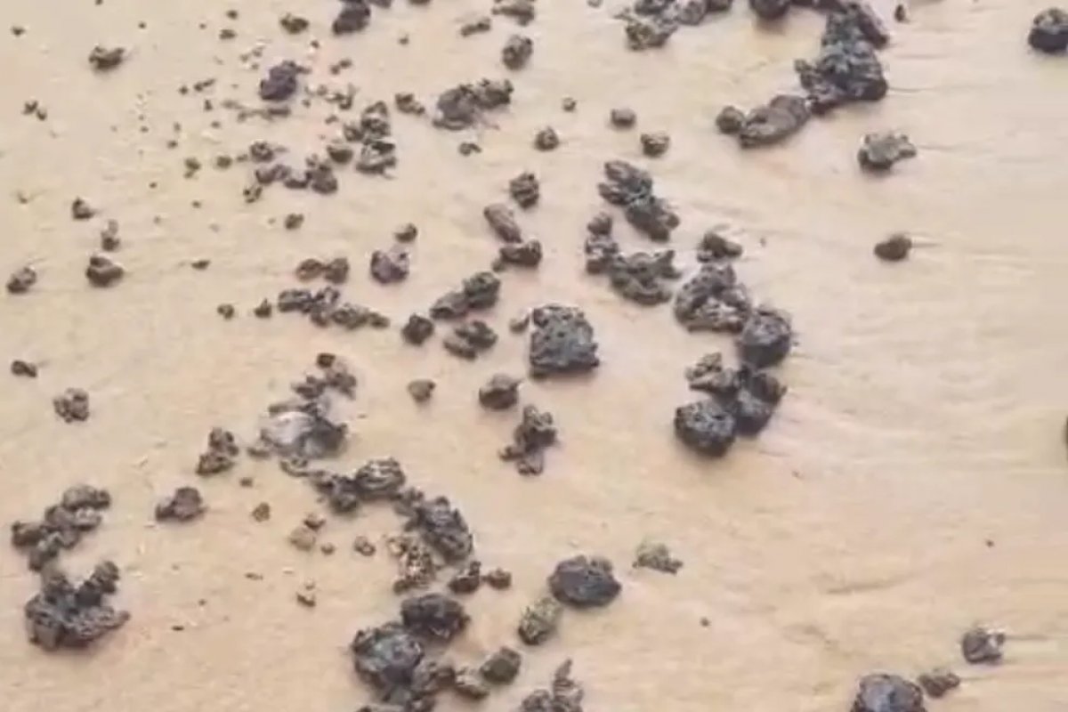 Manchas de óleo são encontradas em praias de Salvador