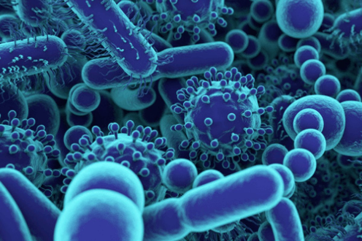 Conheça seis vírus e bactérias que podem causar câncer