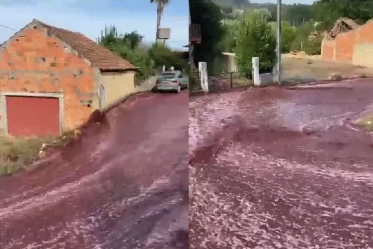 Vídeo: vazamento transforma ruas de cidade portuguesa em "rio de vinho"