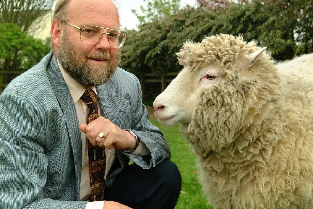 Morre cientista que liderou criação do primeiro animal clonado, a ovelha Dolly