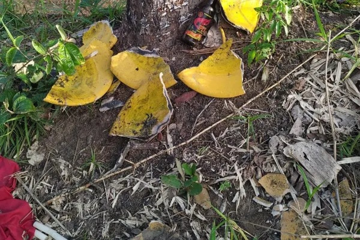 Terreiro em Cachoeira denuncia empresa por intimidação