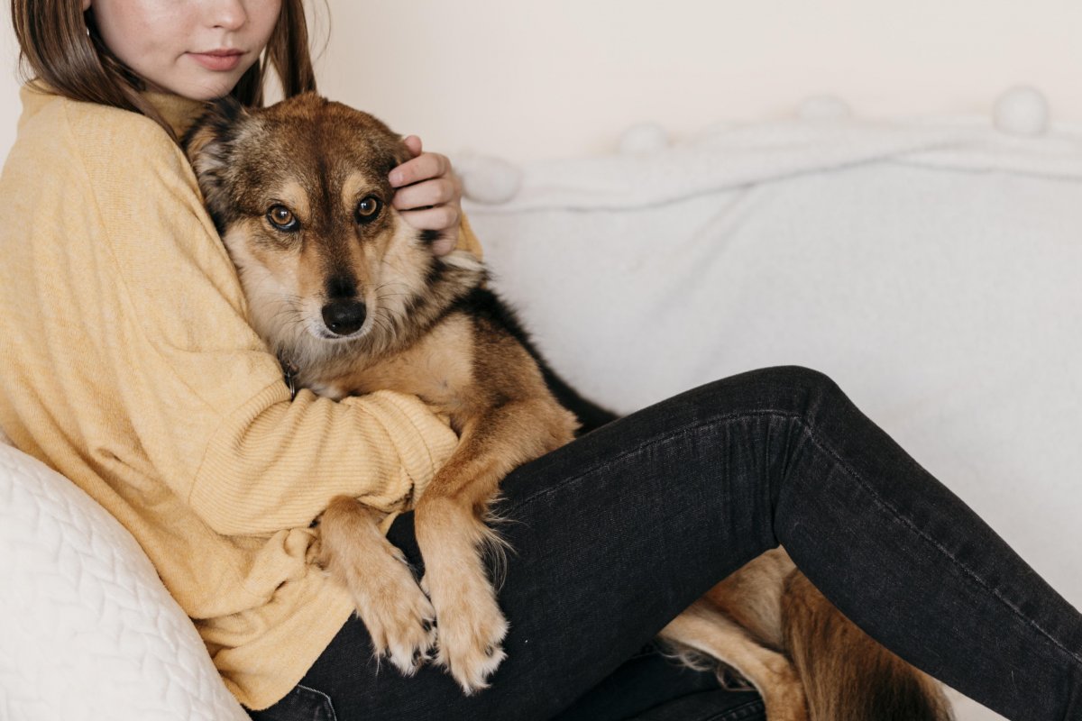 Pets auxiliam no tratamento de doenças mentais, oferecendo apoio emocional aos humanos!