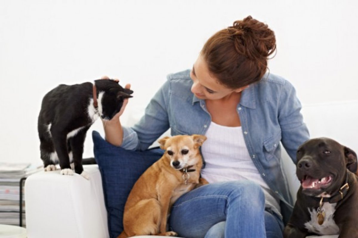 Tutores de pets do Brasil são um dos mais felizes do mundo, aponta pesquisa