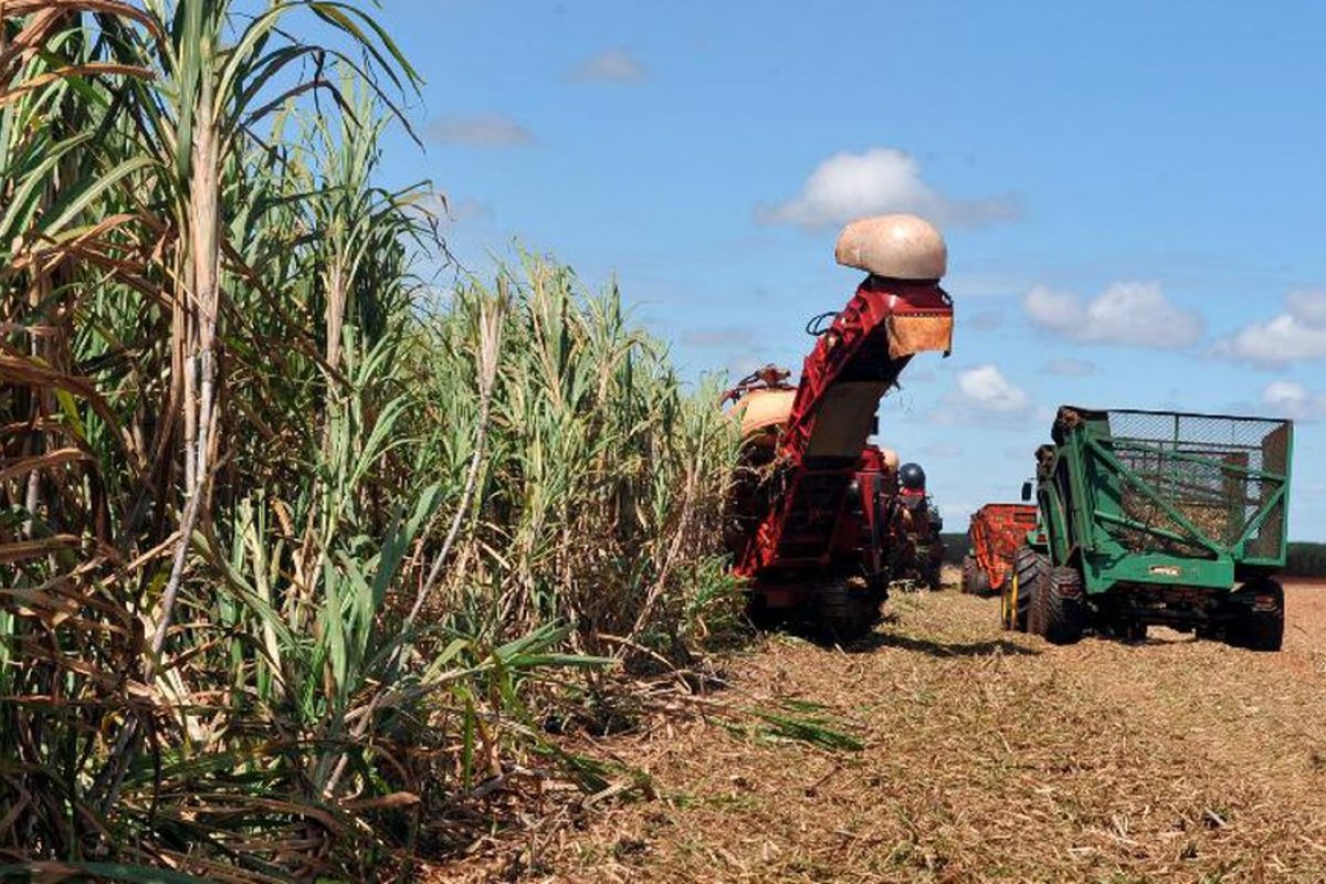 Produção agrícola na Bahia alcança novo recorde em 2022, aponta IBGE 
