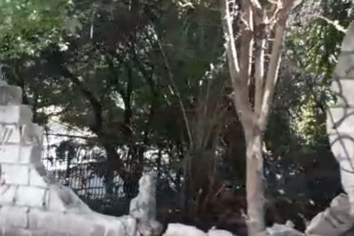 Em Salvador, muro é derrubado após ser atingido por ônibus