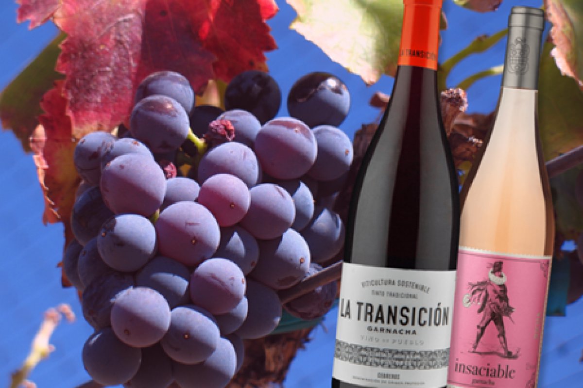 Cinco rótulos de vinhos para você curtir o #GrenachaDay!