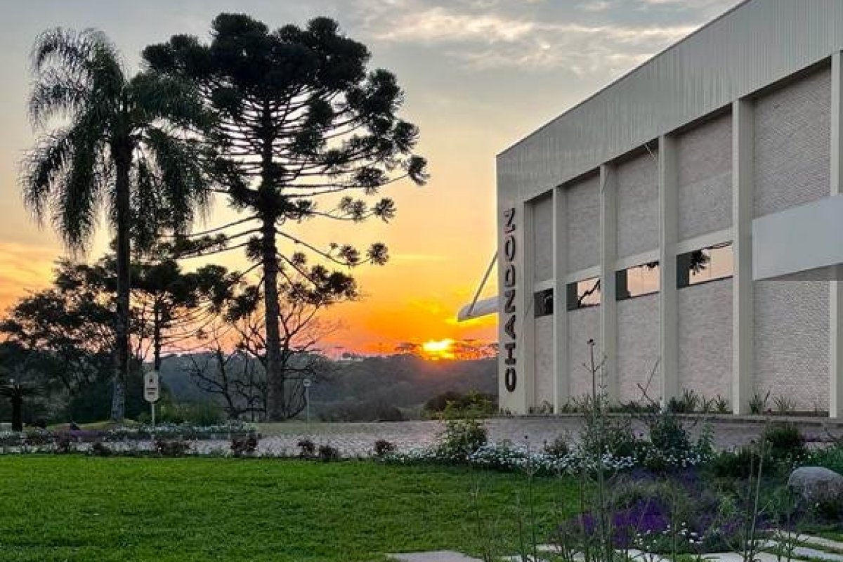 Chandon Brasil celebra meio século!