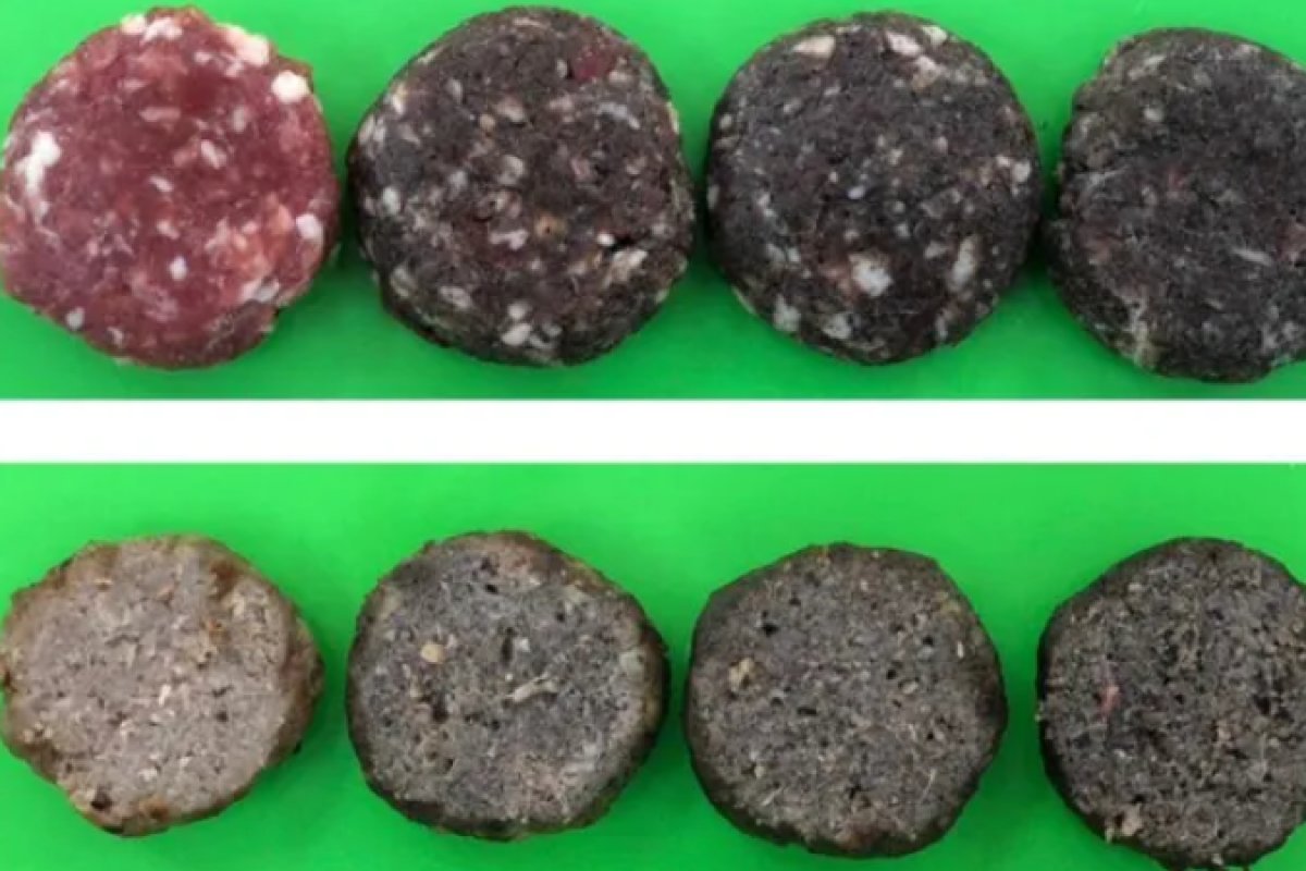 Pesquisadores brasileiros desenvolvem hambúrguer de grilo