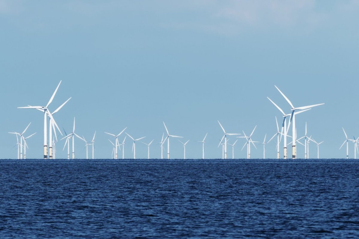 Brasil tem capacidade de gerar 3,6 vezes mais energia com eólicas offshore