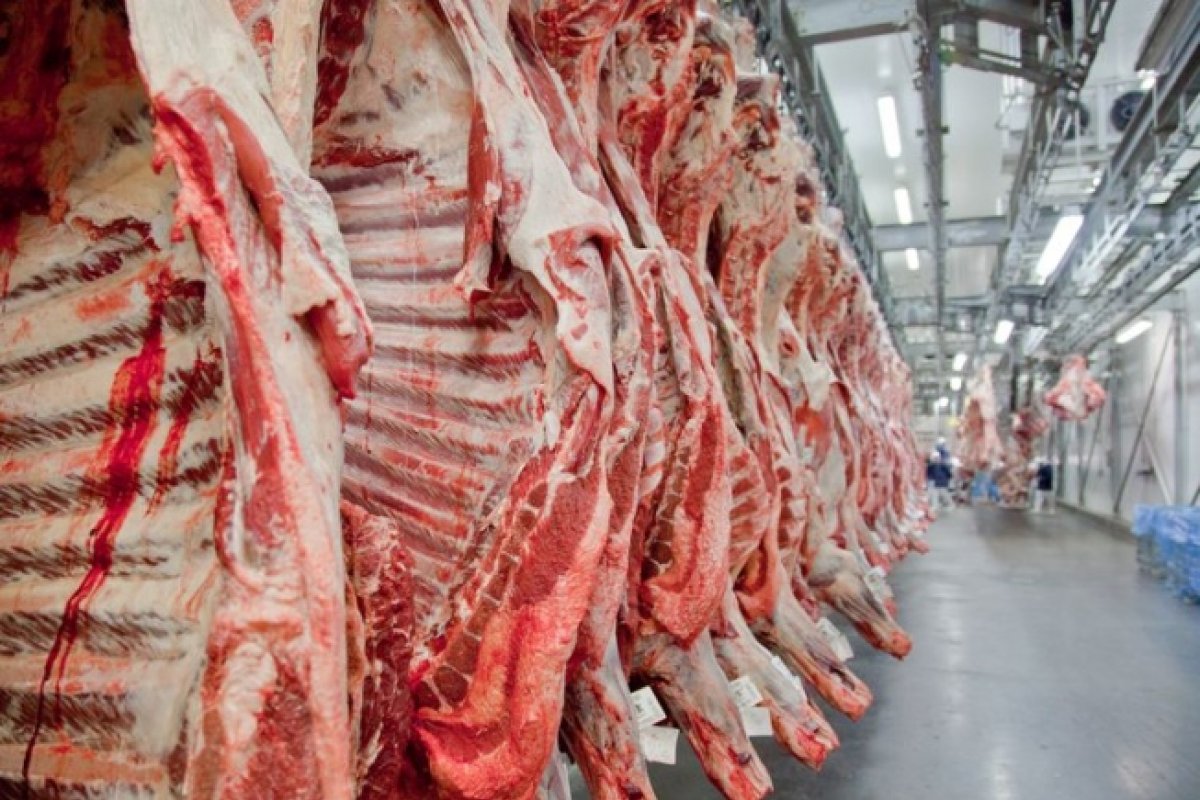 Importações de carne de porco da China registram volume recorde em novembro