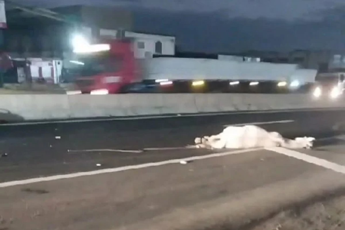 Motociclista e cavalo morrem após se chocarem em Feira de Santana