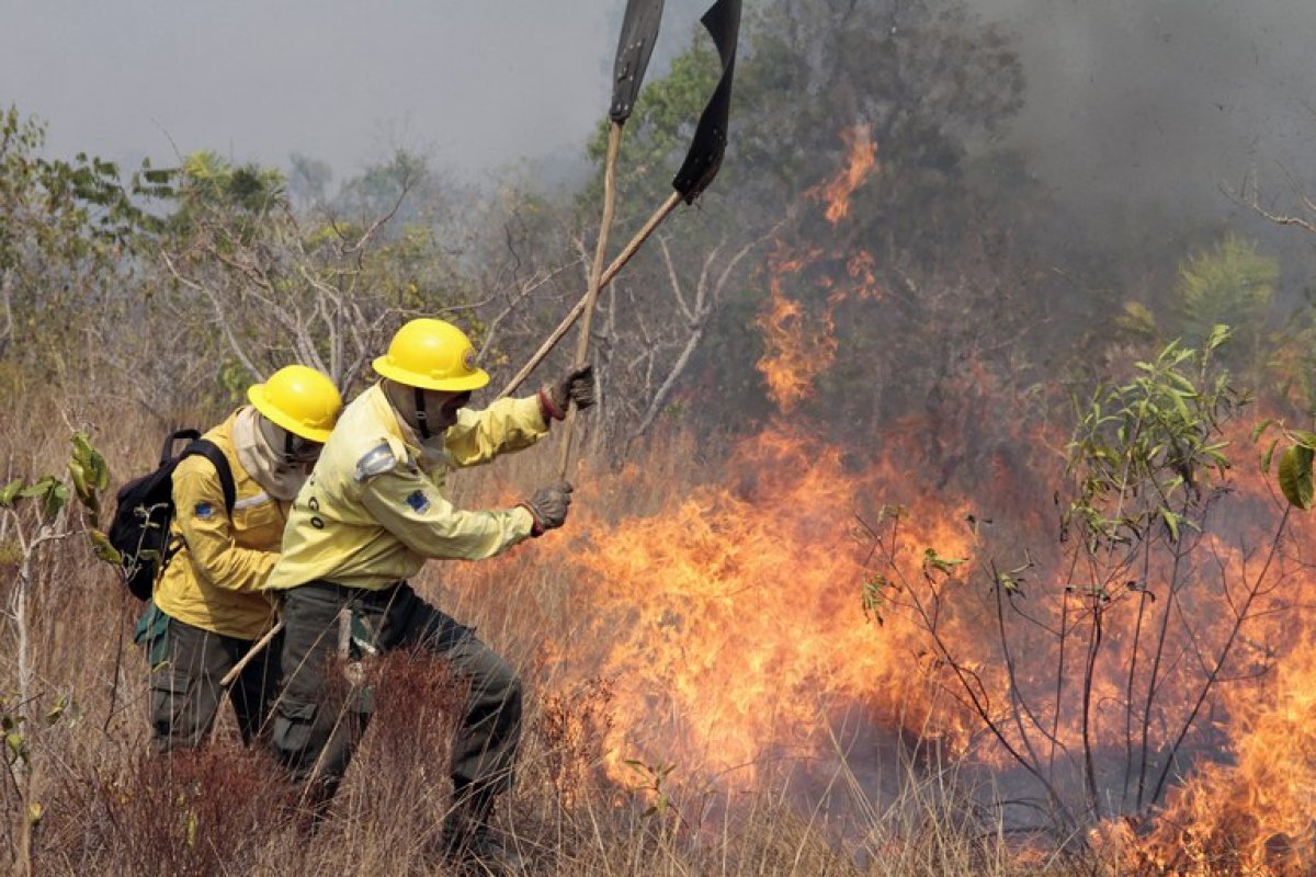 Brasil começa a utilizar metodologia com IA para antecipar em 12h focos de incêndio