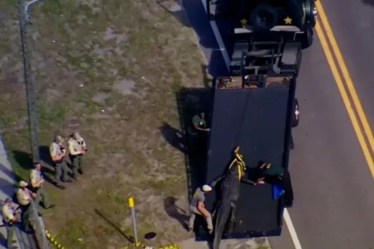 Corpo de mulher morta em ataque de crocodilo é identificado na Flórida