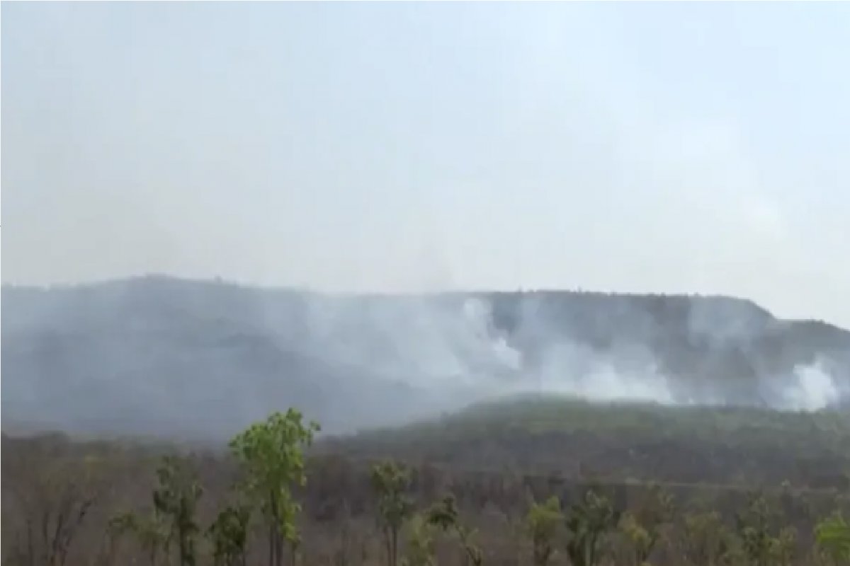 Barreiras: incêndio na Serra da Bandeira é controlado pelo Corpo de Bombeiros