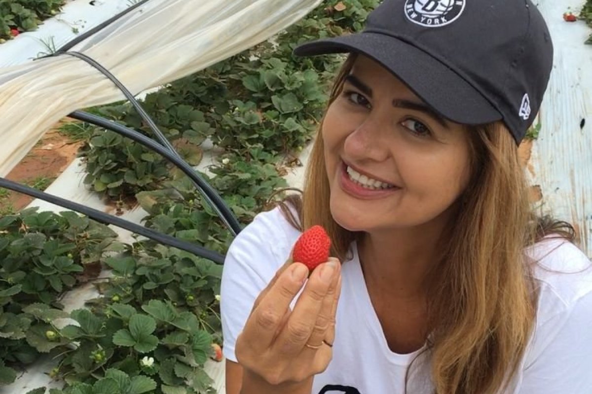 Grande quantidade de agrotóxicos faz com que cada vez mais consumidores escolham morangos orgânicos!