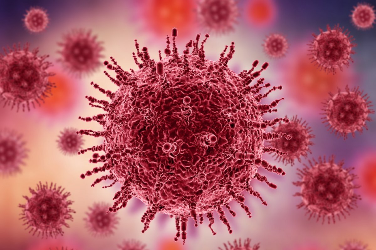 Superbactérias já matam mais de um milhão de pessoas por ano em todo o mundo, aponta OMS