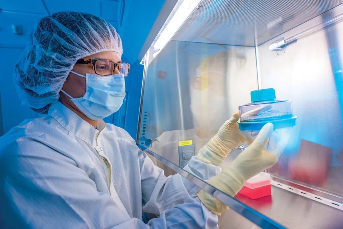 Anvisa autoriza estudos de terapia inovadora contra câncer