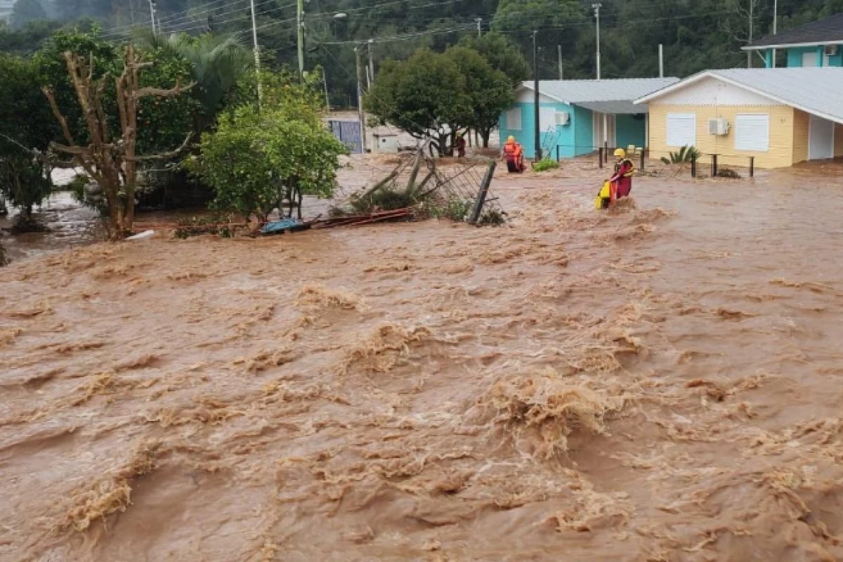 Quase 6 milhões de brasileiros foram afetados por chuvas e secas este ano