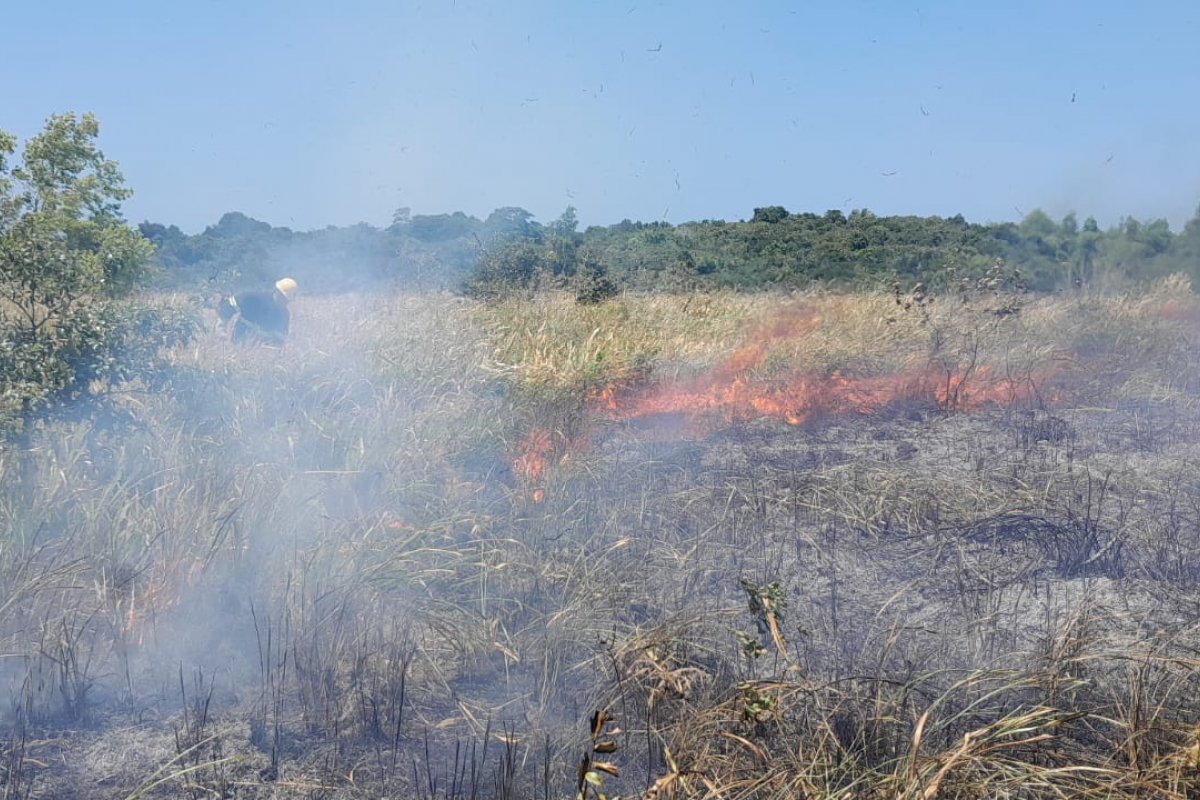 Bombeiros Militares debelam incêndio em área de preservação ambiental na Bahia