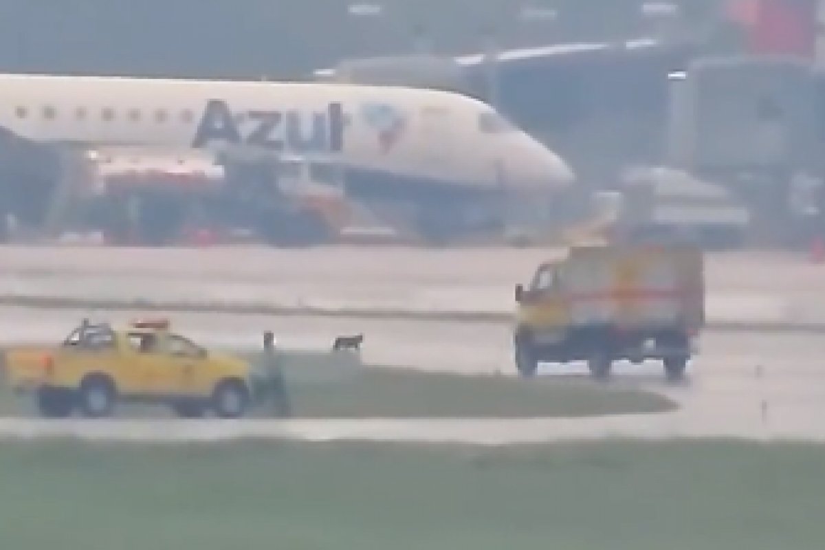 Vídeo: Cão invade pista e suspende operações do Aeroporto Afonso Pena