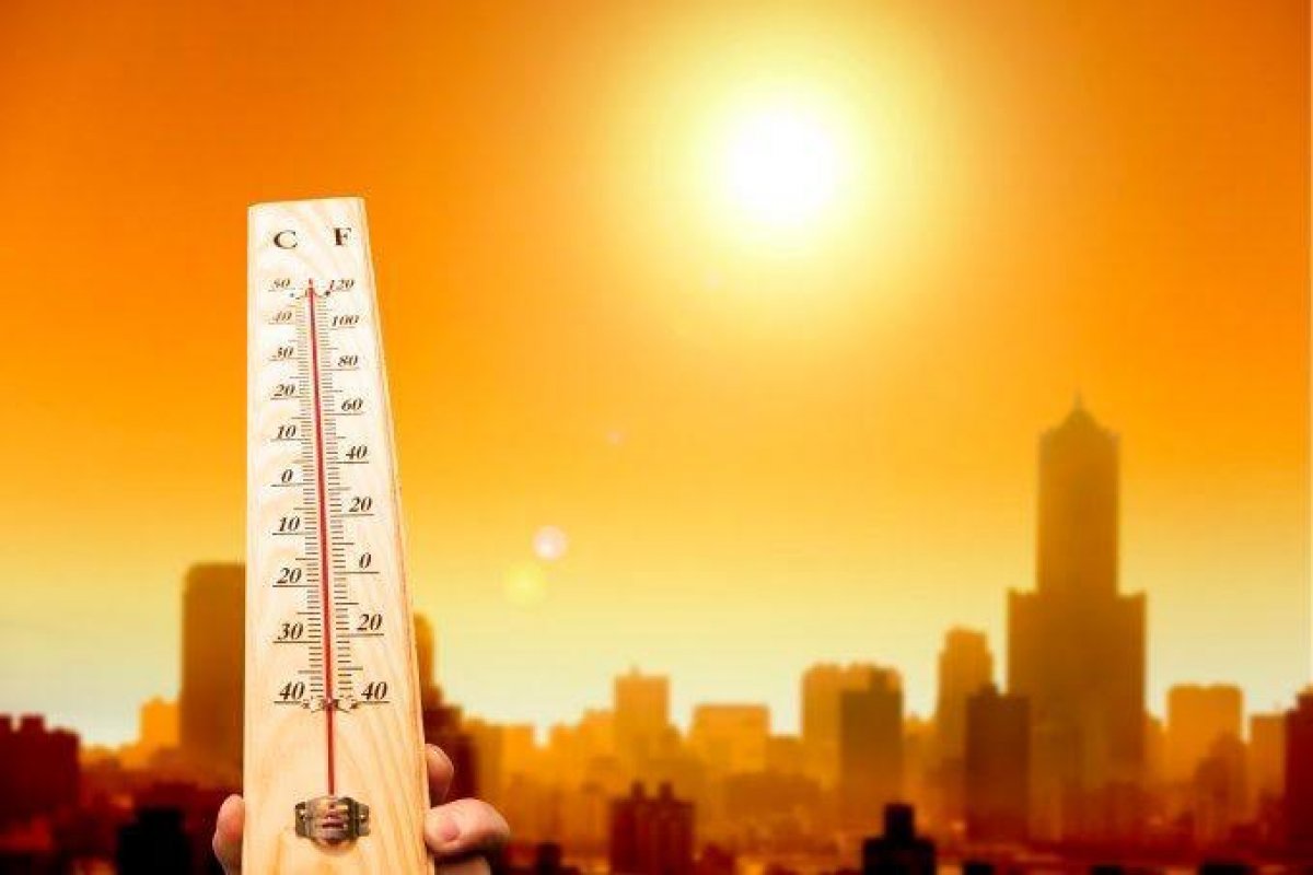 Organização chama atenção para ondas de calor nos países da América do Sul