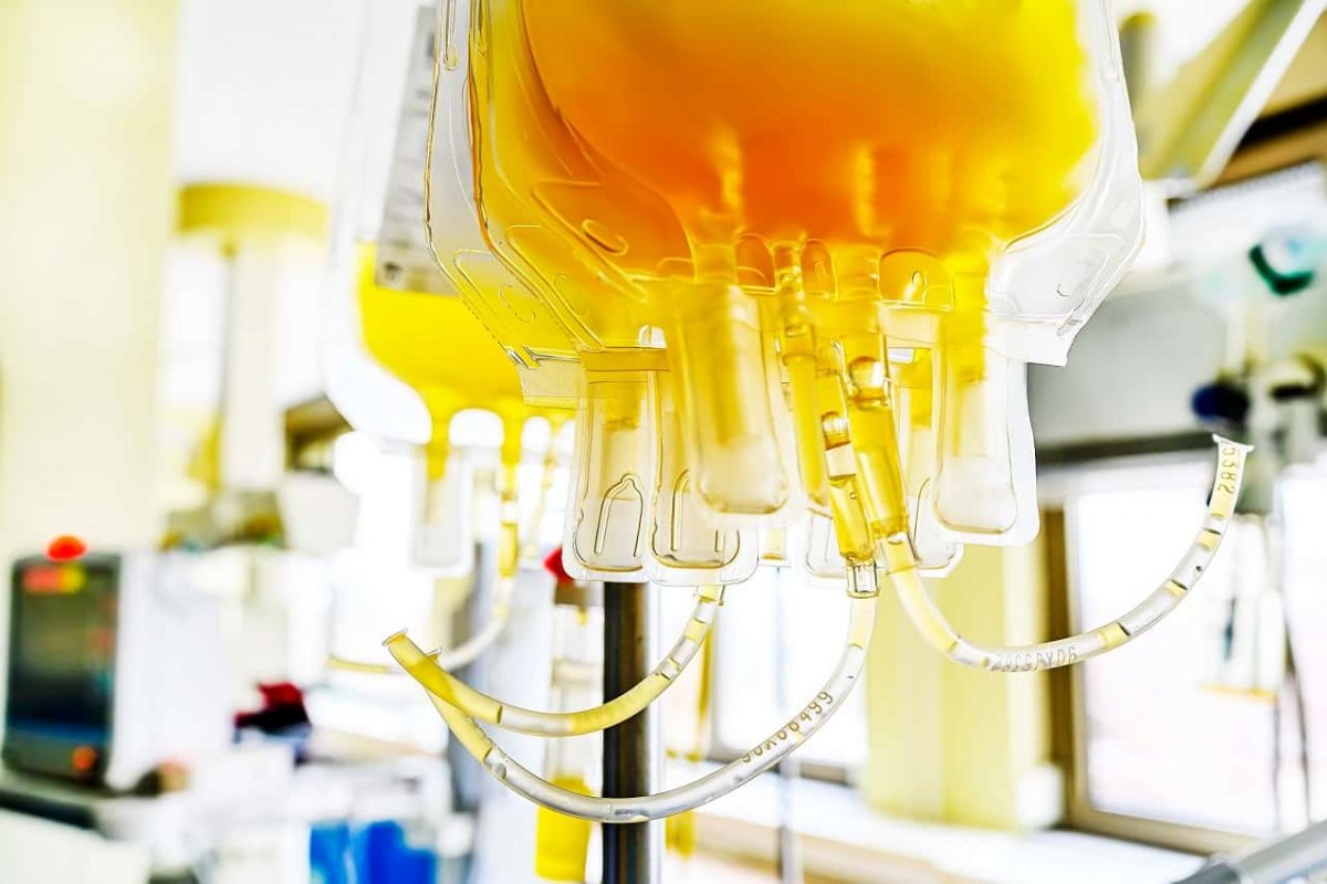 Proposta de emenda à constituição pode autorizar comercialização de plasma humano pela indústria farmacêutica