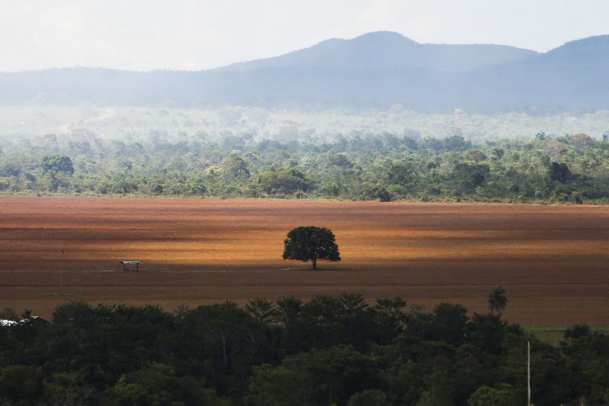 Desmatamento é recorde em setembro no cerrado, enquanto cai 59% na amazônia