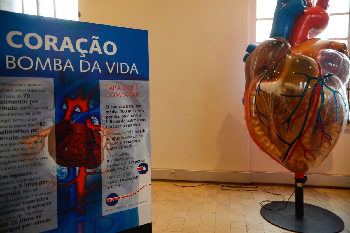 Cardiologista alerta para aumento no número de infarto em mulheres: 'isso é muito preocupante'