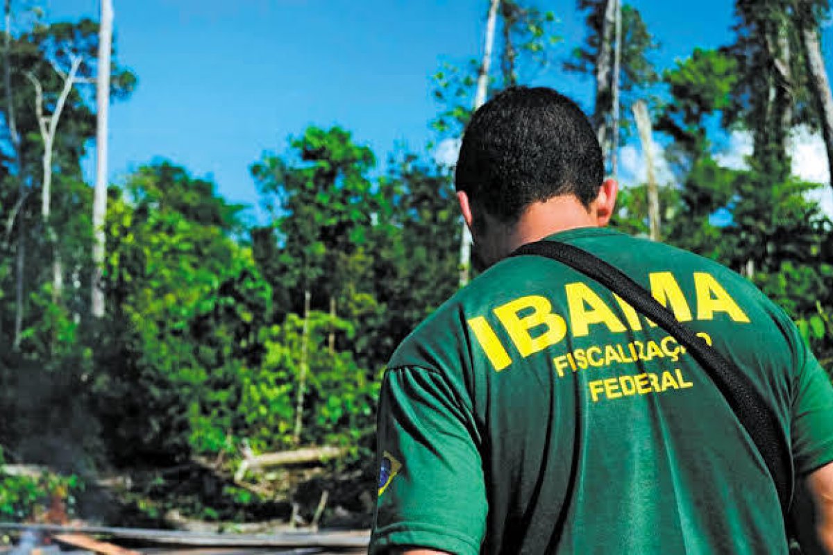 Chefes de fiscalização do Ibama alertam para risco de apagão