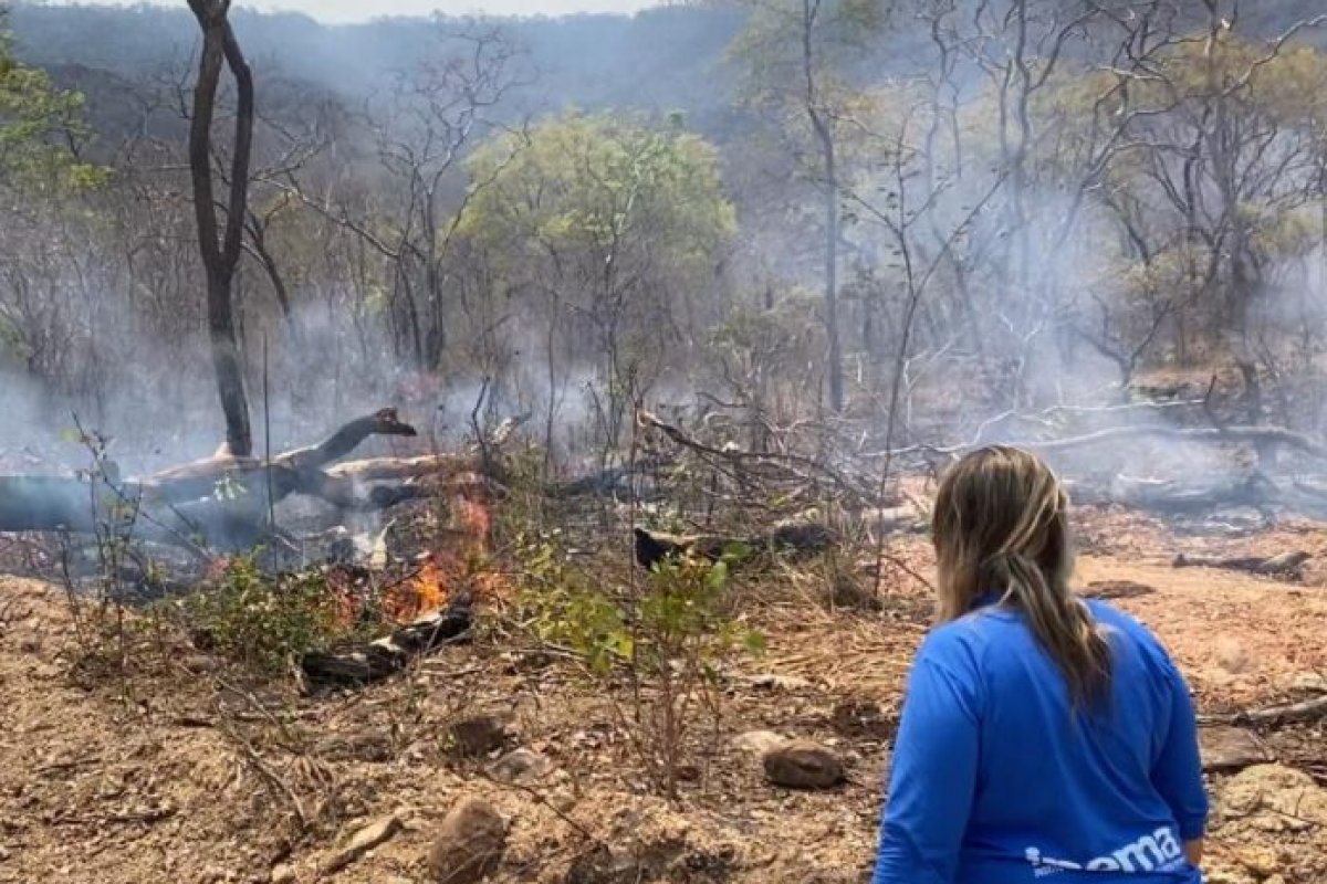 Bahia anuncia suspensão na emissão de autorizações para queimadas controladas por tempo indeterminado