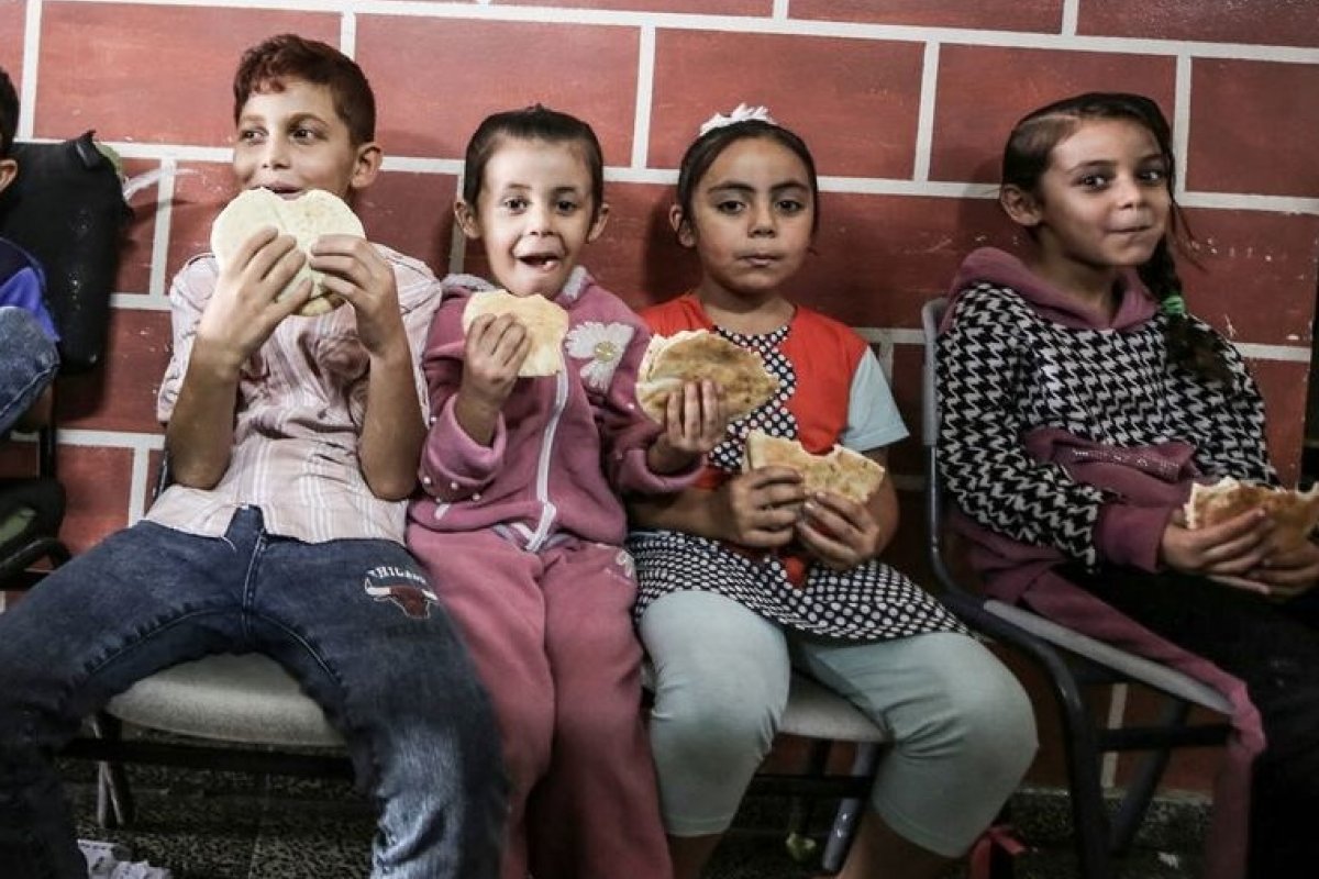 ONU estima que aproximadamente 780 milhões de pessoas passam fome em todo o mundo