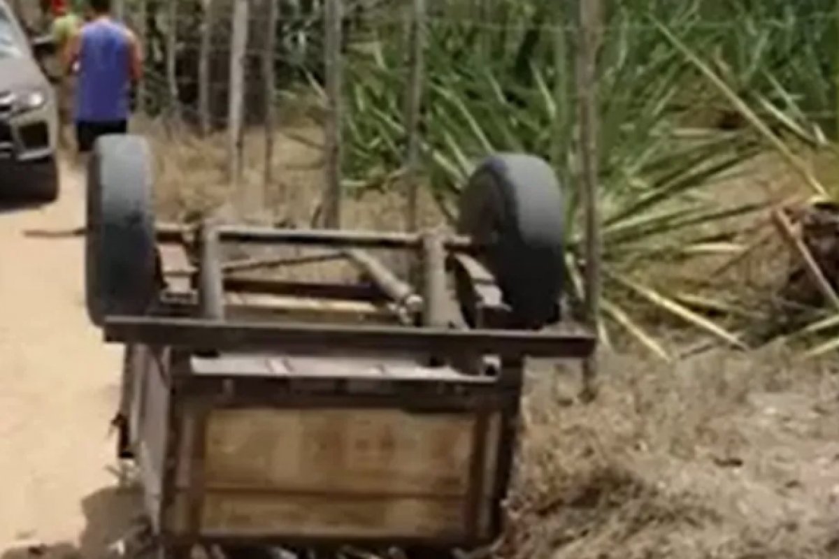 Agricultor é encontrado morto embaixo de reboque de madeira