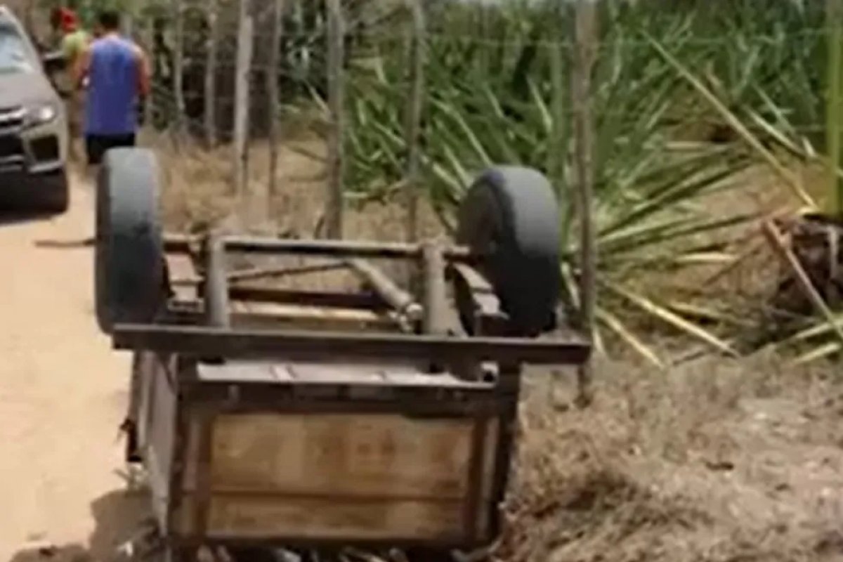 Agricultor de 50 anos é encontrado morto esmagado por carga de madeira em Conceição do Coité