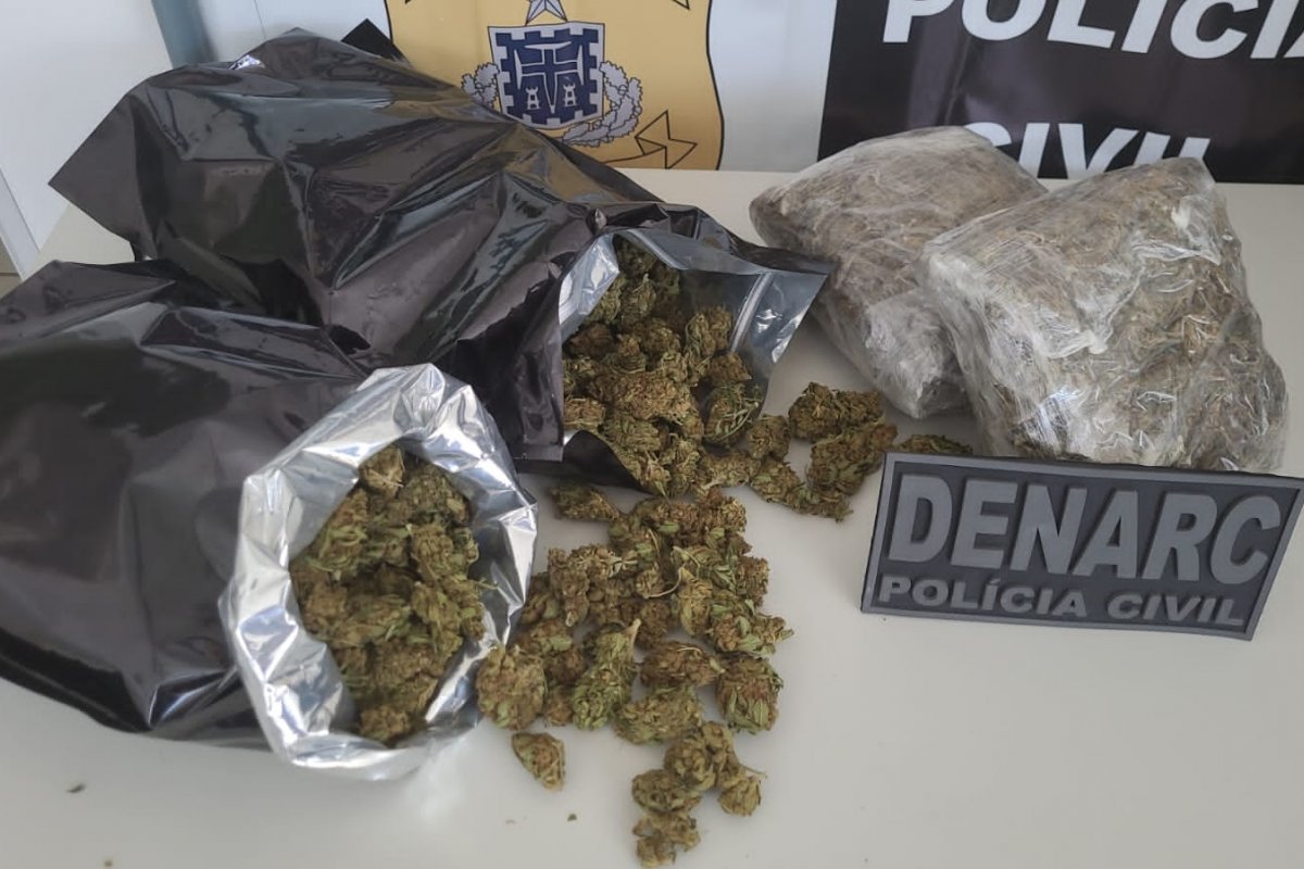 Denarc apreende droga que seria transportada para o RJ