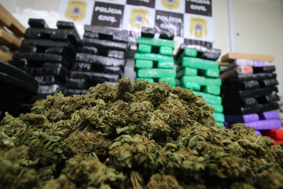 Quase oito toneladas de drogas foram apreendidas na Bahia em 2023