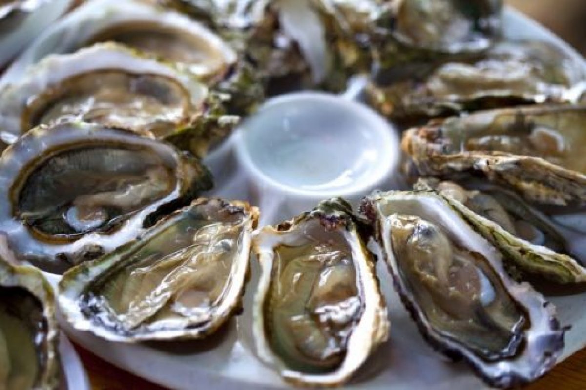 Alerta: Morte de empresário alerta para cuidados com o consumo de ostras