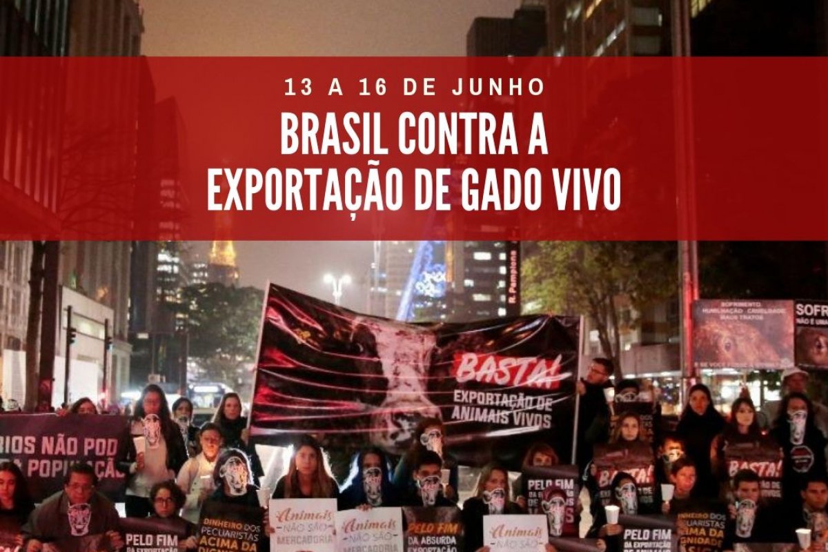 Salvador se mobilizará contra a exportação de animais vivos